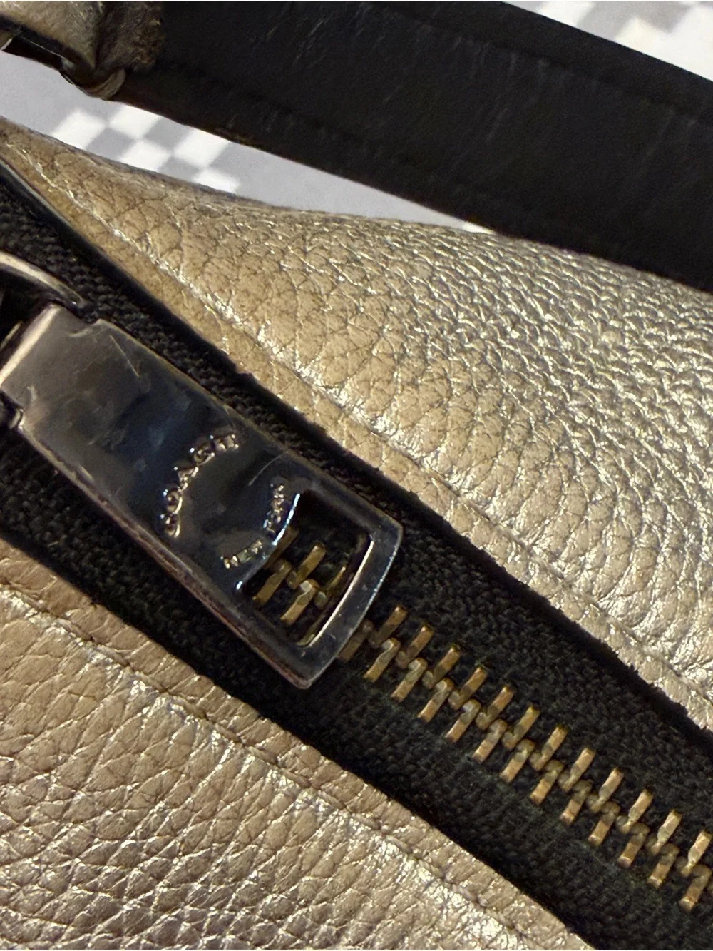 Coach Metallic Chelsea Crossbody